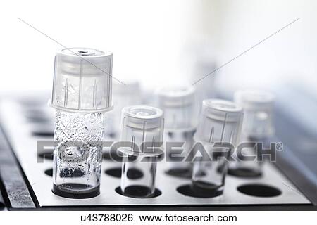 Harvested human eggs View Large Photo Image Stock Photograph - Harvested human eggs. Fotosearch