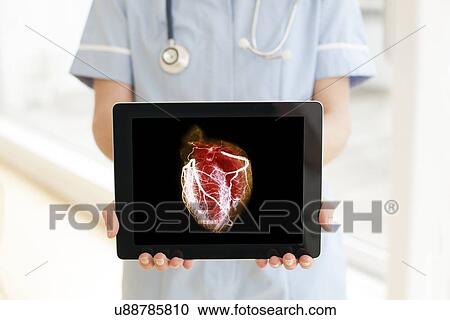 Stock Image - Heart health, conceptual image. Fotosearch
