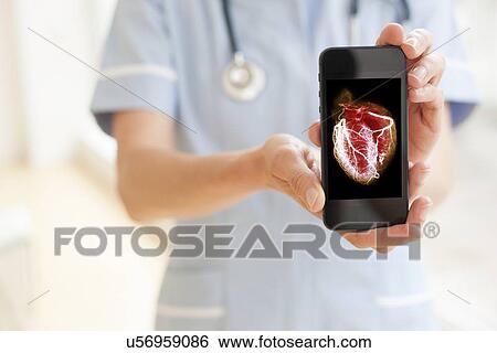 Stock Photograph - Heart health, conceptual image. Fotosearch