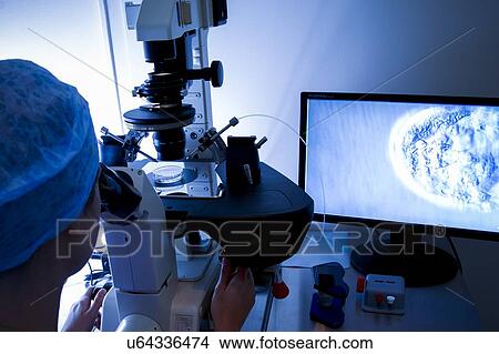 Picture - IVF treatment. Fotosearch