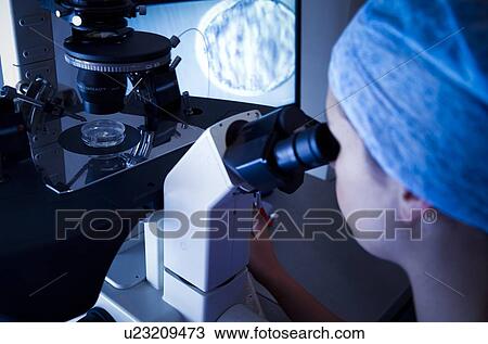 Stock Image - IVF treatment. Fotosearch