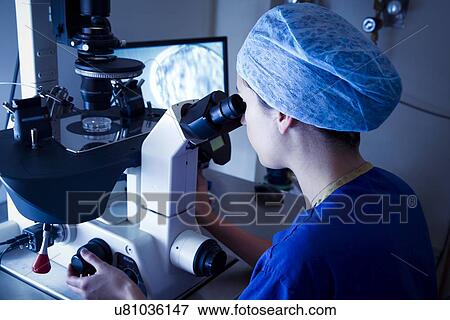Stock Photo - IVF treatment. Fotosearch