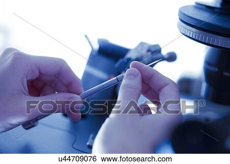 Stock Photograph - IVF treatment. Fotosearch
