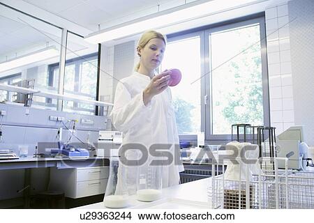 Microbiology research View Large Photo Image Picture - Microbiology research. Fotosearch