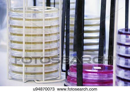 Stock Image - Microbiology research. Fotosearch
