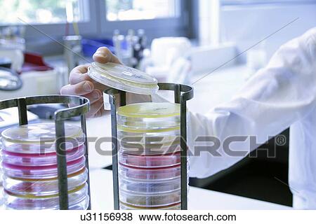 Microbiology research View Large Photo Image Stock Photo - Microbiology research. Fotosearch