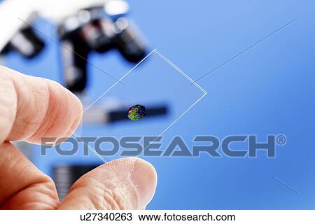 Stock Image - Microscope slide. Fotosearch