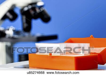 Microscope slides View Large Photo Image Stock Photo - Microscope slides. Fotosearch