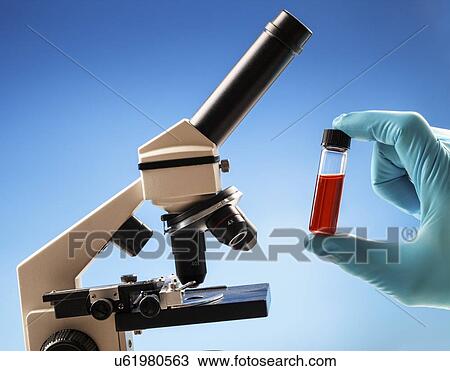 Microscopy sample View Large Photo Image Stock Image - Microscopy sample. Fotosearch