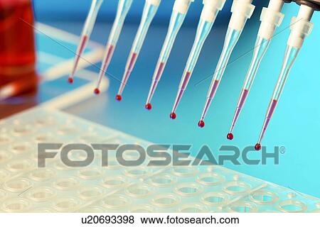 Stock Photo - Multipipette. Fotosearch