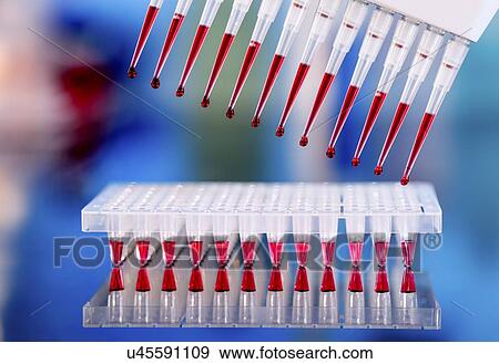 Stock Photo - Multipipette. Fotosearch