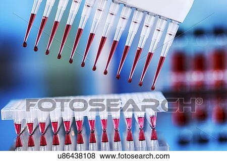 Stock Photo - Multipipette. Fotosearch