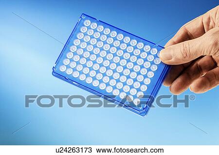 Stock Image - Multiwell plate. Fotosearch