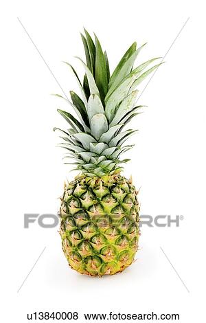 Pineapple View Large Photo Image Stock Photo - Pineapple. Fotosearch