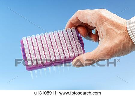 Stock Image - Pipette tips. Fotosearch