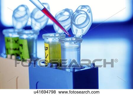 Stock Photo - Pipetting liquid. Fotosearch