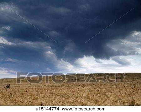 Picture - Storm clouds. Fotosearch