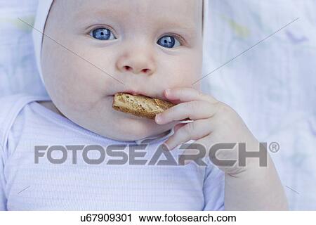 Stock Image - Baby girl eating cracker. Fotosearch