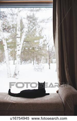 Stock Photography - Black cat lying on daybed. Fotosearch