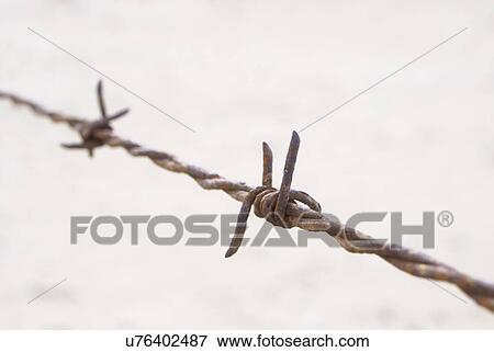 Close up detail of rusty barbed wire View Large Photo Image Stock Photo - Close up detail of rusty barbed wire. Fotosearch
