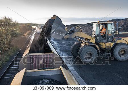 Diggers loading coal onto train at surface coal mine at dawn View Large Photo Image Stock Photo - Diggers loading coal onto train at surface coal mine at dawn. Fotosearch