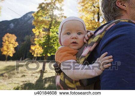 Father carrying baby daughter in carrier View Large Photo Image Stock Photo - Father carrying baby daughter in carrier. Fotosearch