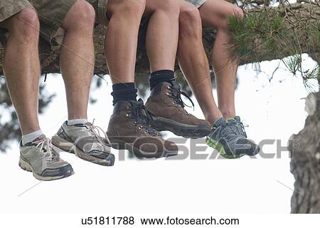 Legs of three male hikers sitting on tree branch View Large Photo Image Stock Photo - Legs of three male hikers sitting on tree branch. Fotosearch