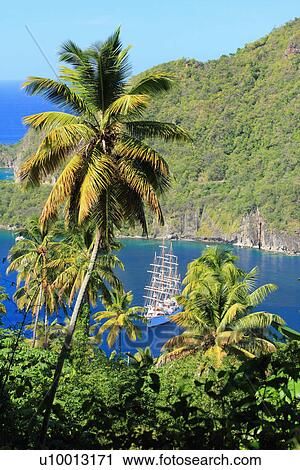 Palm trees and sailing ship, St Lucia, Caribbean View Large Photo Image Stock Image - Palm trees and sailing ship, St Lucia, Caribbean. Fotosearch