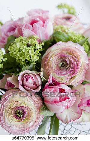 Pink flowers, close-up View Large Photo Image Stock Photography - Pink flowers, close-up. Fotosearch