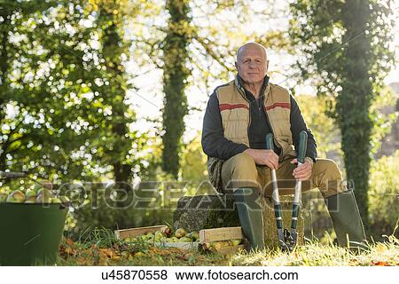 Stock Photo - Portrait of senior man holding pruner. Fotosearch