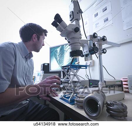 Scientist using microscope to inspect damage to spring View Large Photo Image Stock Photo - Scientist using microscope to inspect damage to spring. Fotosearch