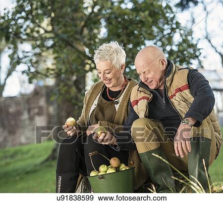 Stock Photo - Senior couple admiring apples from bucket. Fotosearch