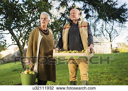 Stock Image - Senior couple carrying bucket and crate of apples. Fotosearch