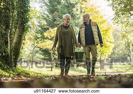 Stock Photo - Senior couple with bucket of apples in orchard. Fotosearch