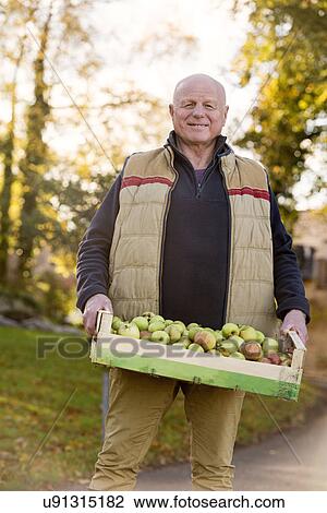 Senior man carrying crate of apples View Large Photo Image Stock Image - Senior man carrying crate of apples. Fotosearch