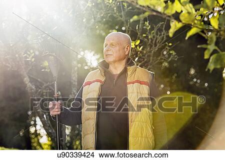 Senior man holding rake View Large Photo Image Picture - Senior man holding rake. Fotosearch