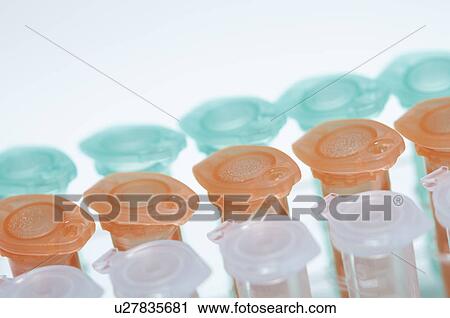 Stock Image - Still life of color coded microcentrifuge tubes. Fotosearch