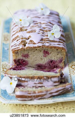 Still life of raspberry sponge cake garnished with flowers View Large Photo Image Stock Image - Still life of raspberry sponge cake garnished with flowers. Fotosearch