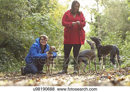 Stock Photo - Young couple and three whippets in forest. Fotosearch