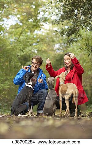 Picture - Young couple sharing treats with their three whippets. Fotosearch