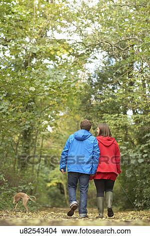 Young couple walking in woods with whippet View Large Photo Image Picture - Young couple walking in woods with whippet. Fotosearch