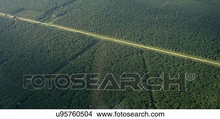 Aerial view of a road passing through landscape, Yoro, Honduras View Large Photo Image Picture - Aerial view of a road passing through landscape, Yoro, Honduras. Fotosearch