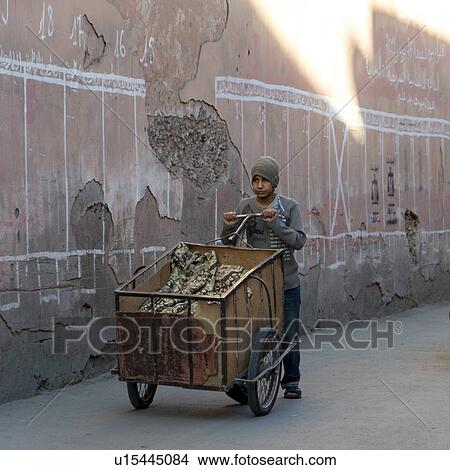 Boy carrying animal skin in a cart on the street, Mellah, Marrakesh, Morocco View Large Photo Image Picture - Boy carrying animal skin in a cart on the street, Mellah, Marrakesh, Morocco. Fotosearch