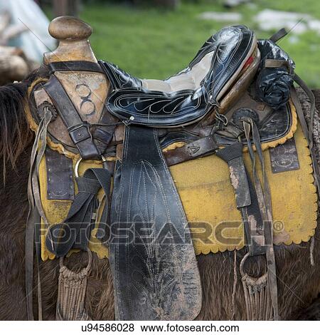 Closeup of saddle on horse, Finca Santa Isabel, Copan, Copan Ruinas, Copan Department, Honduras View Large Photo Image Stock Photo - Closeup of saddle on horse, Finca Santa Isabel, Copan, Copan Ruinas, Copan Department, Honduras. Fotosearch
