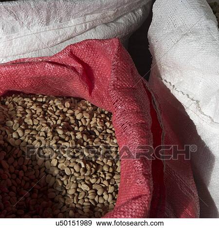Coffee bean in sacks, Finca El Cisne, Honduras View Large Photo Image Stock Photo - Coffee bean in sacks, Finca El Cisne, Honduras. Fotosearch