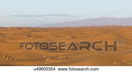 Erg Chegaga Dunes in Sahara Desert, Souss-Massa-Draa, Morocco View Large Photo Image Picture - Erg Chegaga Dunes in Sahara Desert, Souss-Massa-Draa, Morocco. Fotosearch