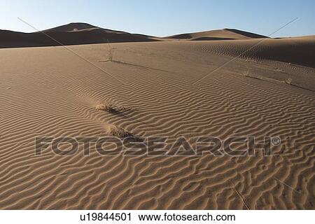 Stock Image - Erg Chegaga Dunes in Sahara Desert, Souss-Massa-Draa, Morocco. Fotosearch