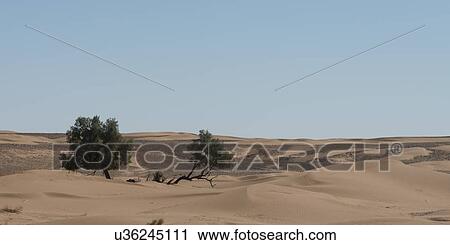 Stock Image - Erg Chegaga Dunes in Sahara Desert, Souss-Massa-Draa, Morocco. Fotosearch