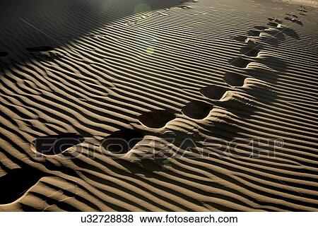 Erg Chegaga Dunes in Sahara Desert, Morocco View Large Photo Image Stock Photo - Erg Chegaga Dunes in Sahara Desert, Morocco. Fotosearch