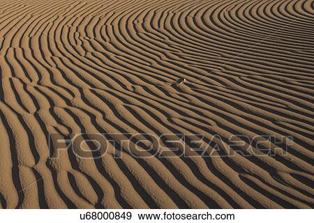 Erg Chegaga Dunes in Sahara Desert, Souss-Massa-Draa, Morocco View Large Photo Image Stock Photo - Erg Chegaga Dunes in Sahara Desert, Souss-Massa-Draa, Morocco. Fotosearch